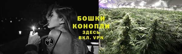 соль ск Лиски
