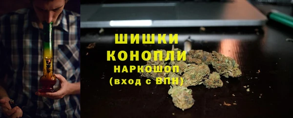 соль ск Лиски