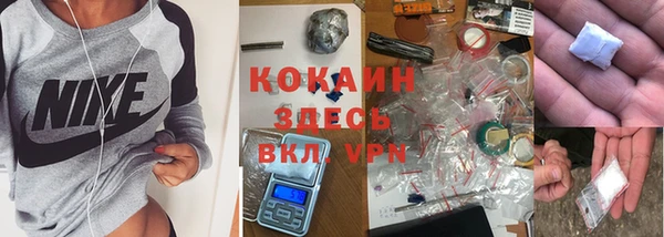соль ск Лиски