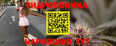 синтетический гашиш Камышлов