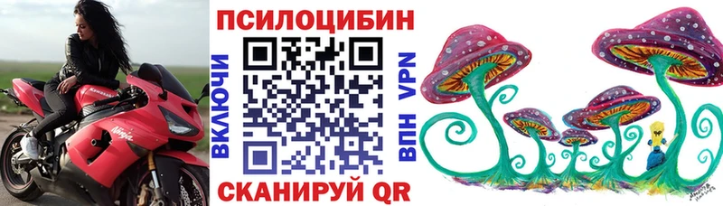 Галлюциногенные грибы Psilocybe  закладка  Янаул 