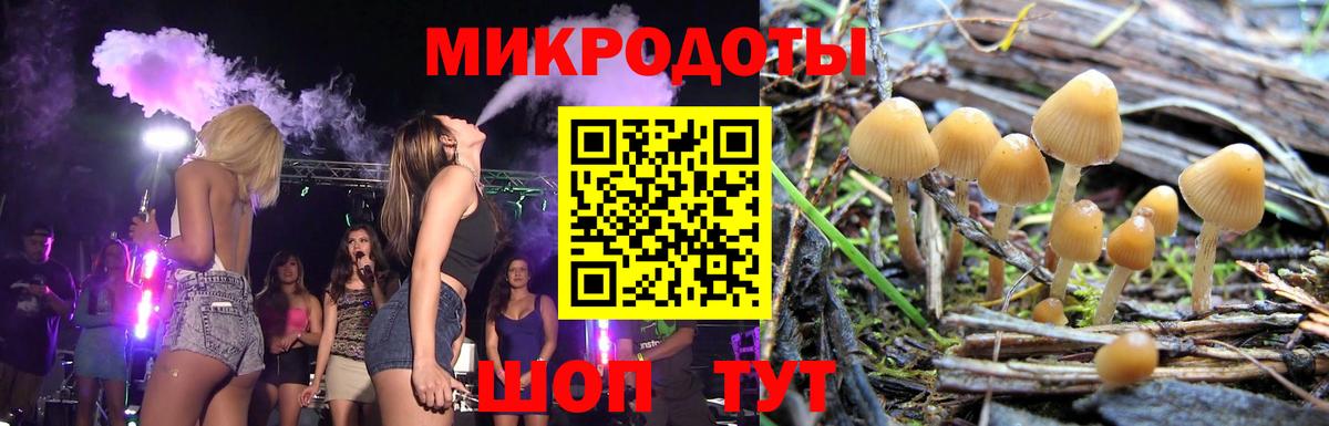 Галлюциногенные грибы Cubensis Янаул