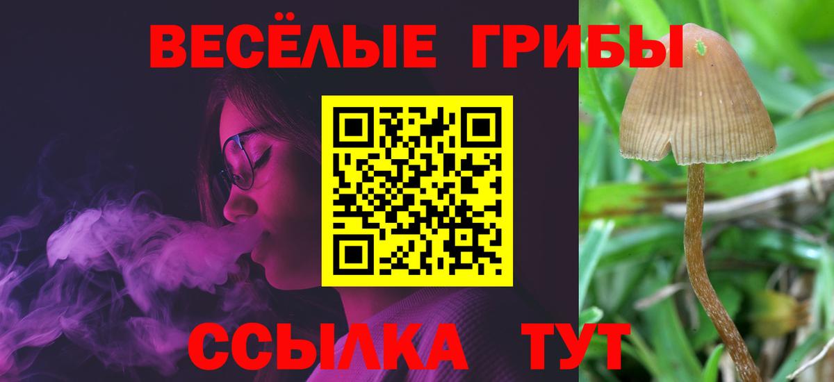 Янаул  Псилоцибиновые грибы мицелий  Вход с VPN 